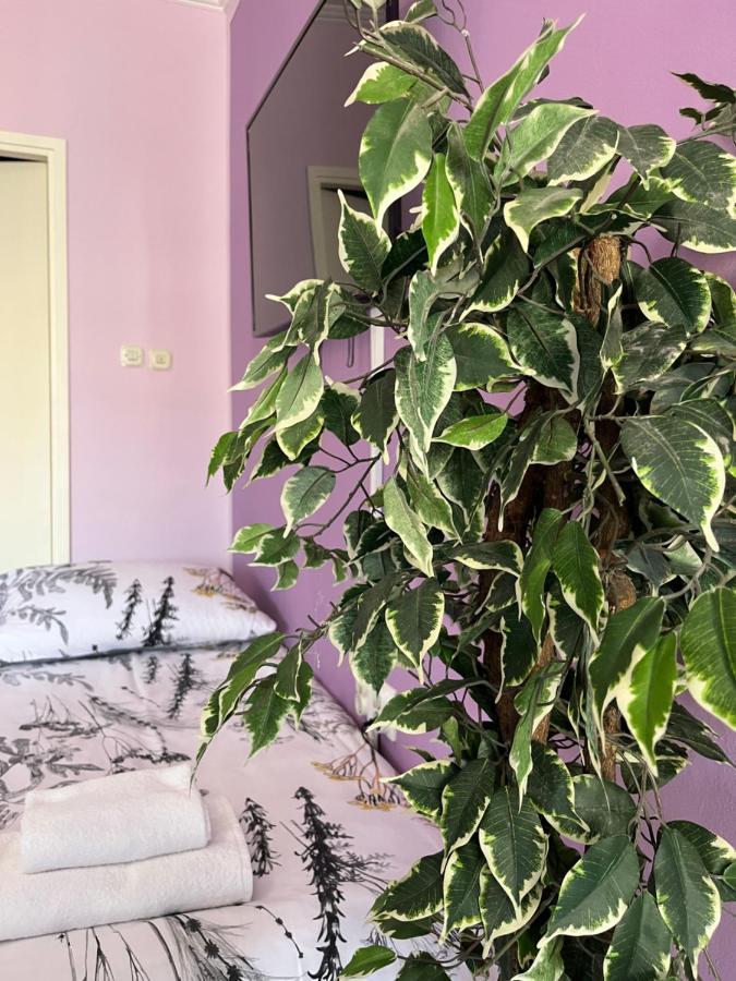 Апартаменты Apartman Lora Риека Экстерьер фото